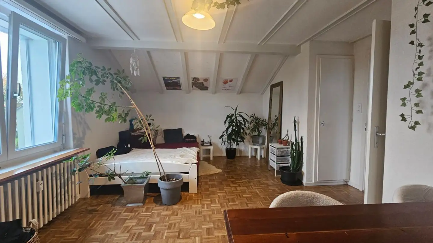 Wohnung mieten - Grünmattweg, 8500 Frauenfeld - Foto 4