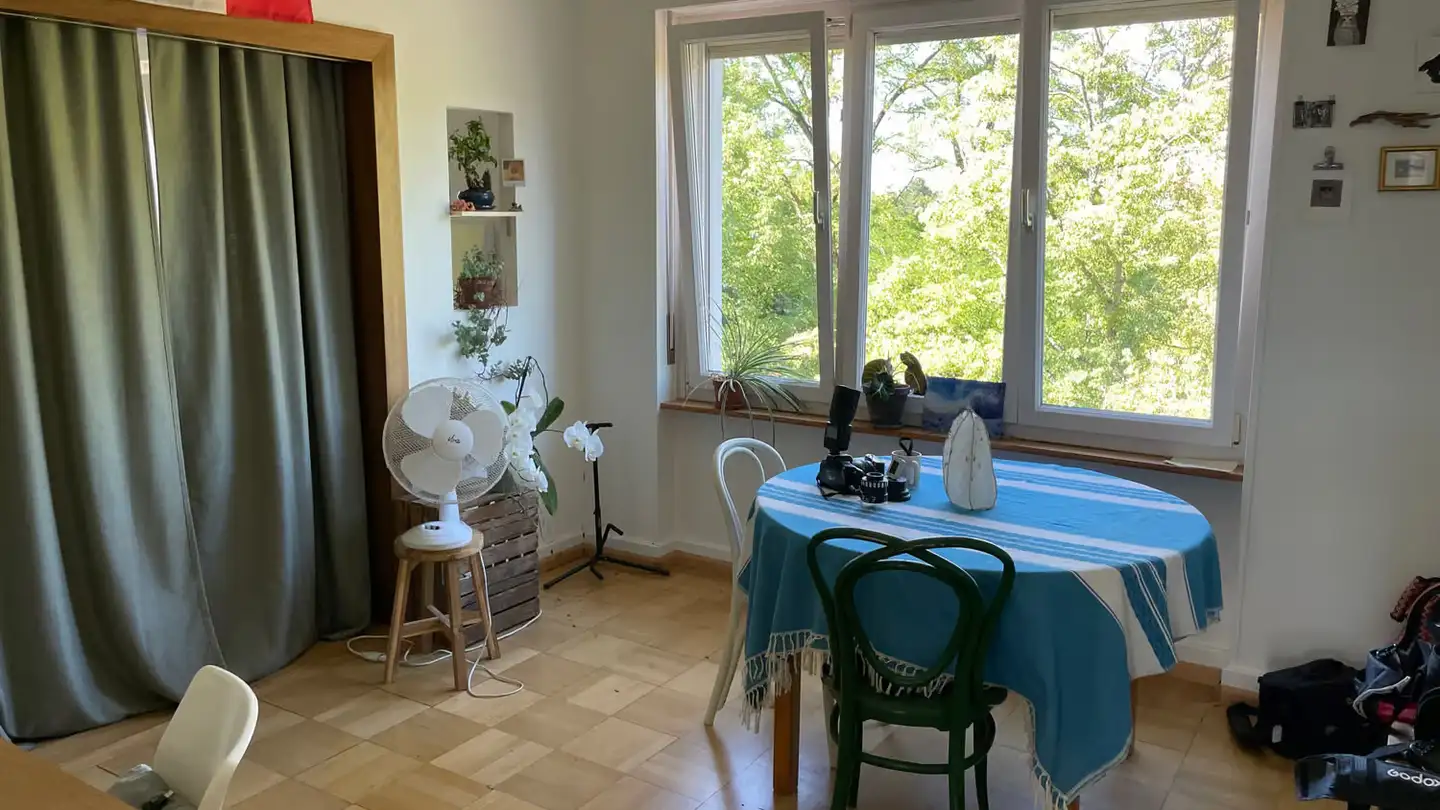 Single room for rent - Hauensteinstrasse 122, 4059 Basel - Photo 4