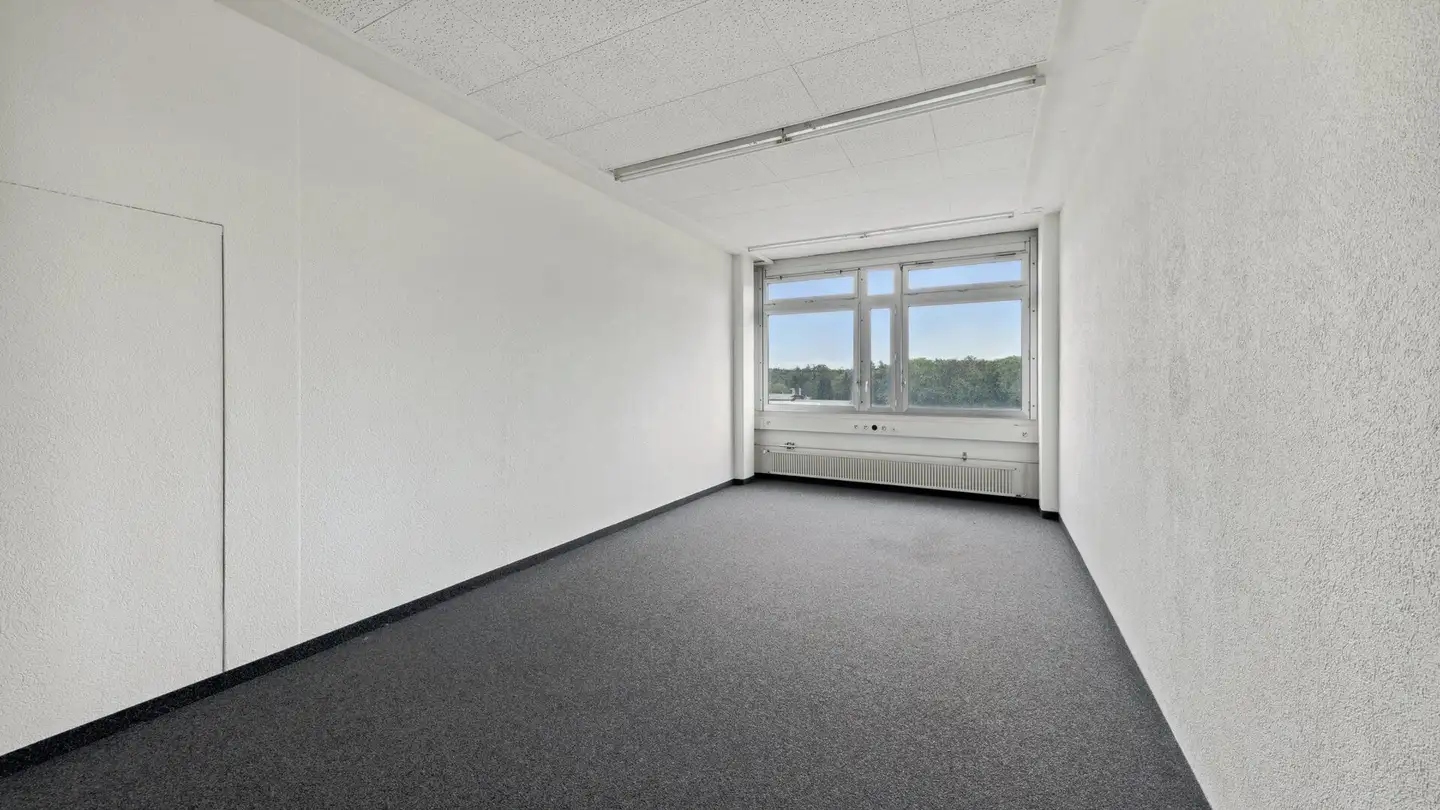 Office space for rent - Althardstrasse, 8105 Regensdorf - Photo 3