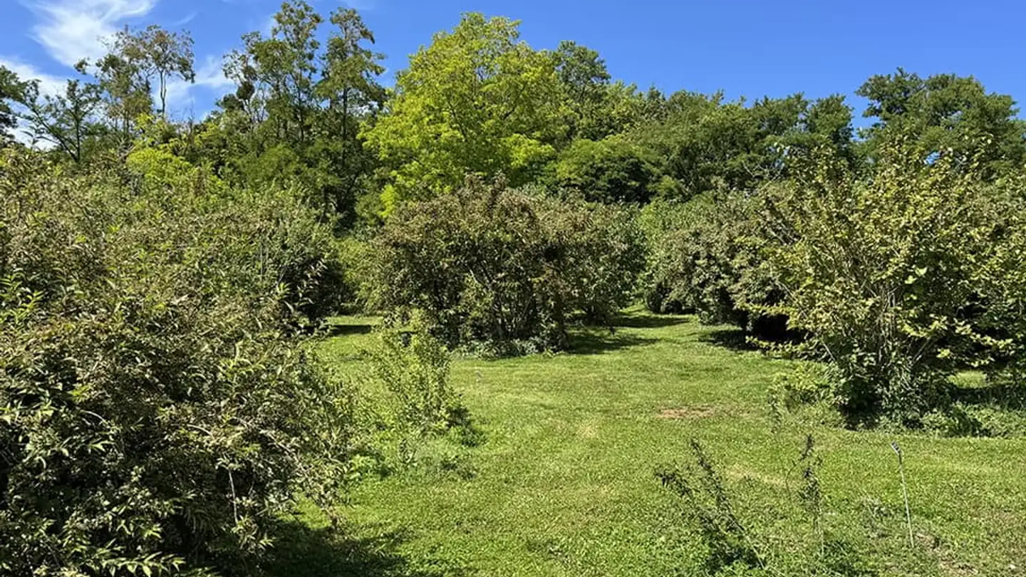 Appartement à vendre - 2035 Corcelles NE