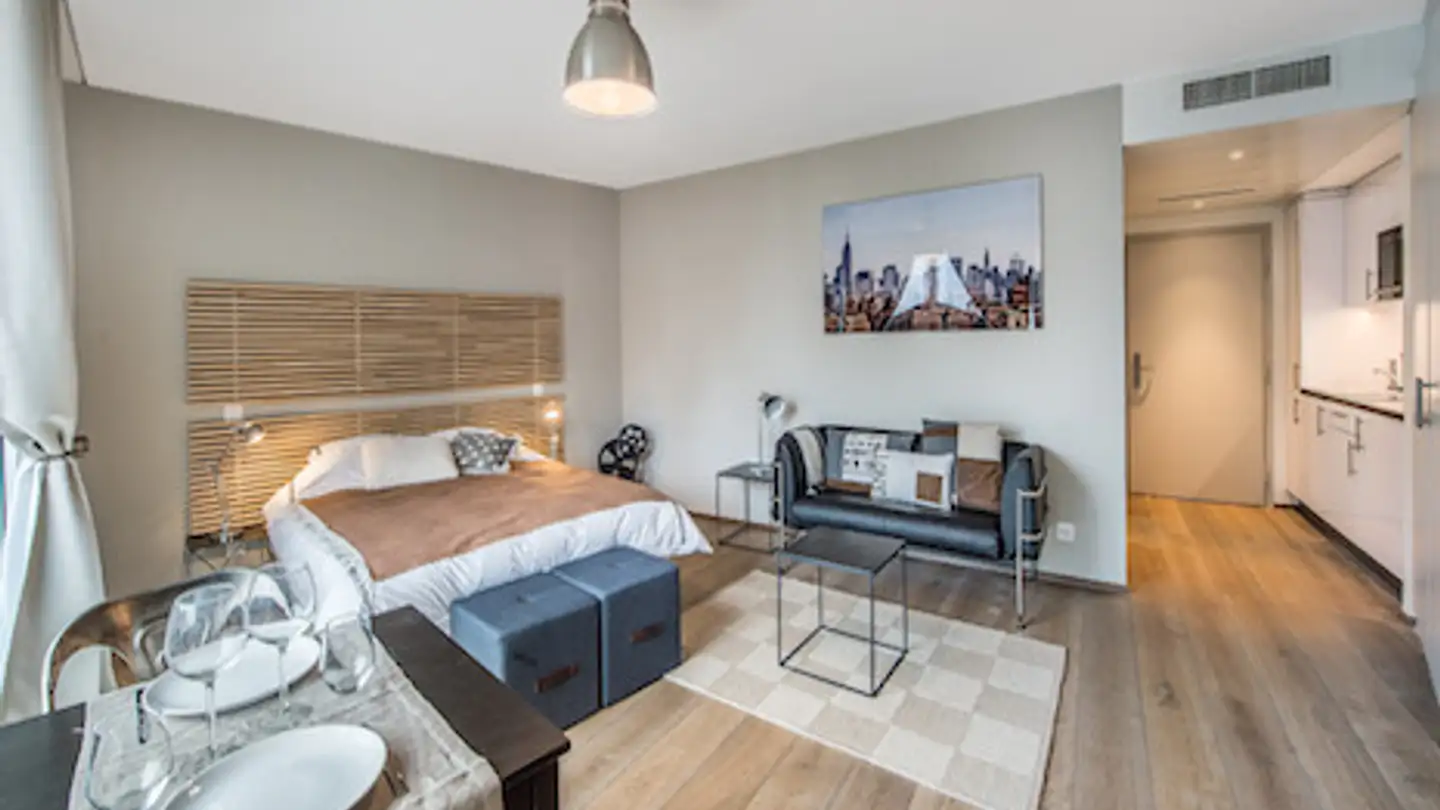 Studio in affitto - Rue Des Noirettes 20, 1227 Carouge GE - Photo 3