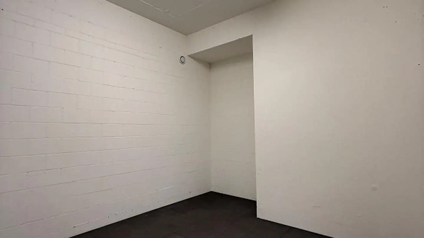 Workshop for rent - Weg Zur Schanz 3, 8825 Hütten - Photo 2