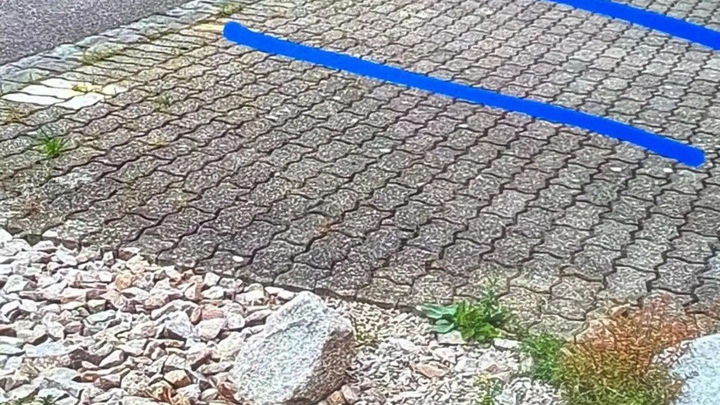 Parkplatz im Freien mieten - Bielstrasse 4, 4153 Reinach BL