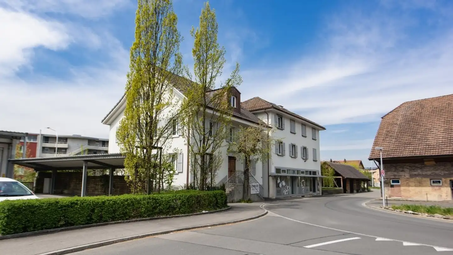 Appartement à louer - Alte Strasse 50, 5734 Reinach AG