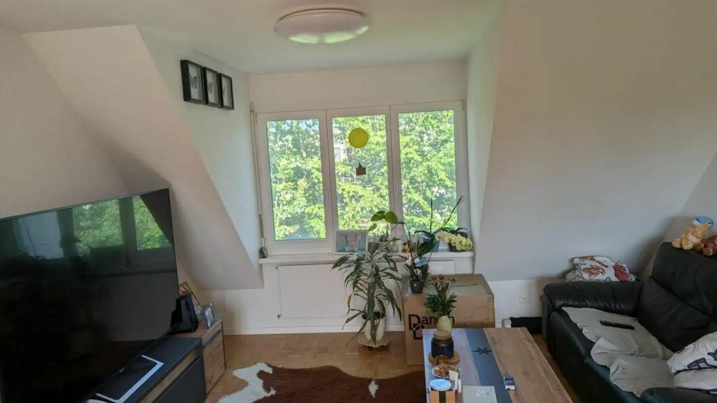 Wohnung mieten - Kaiserstrasse 5b, 4310 Rheinfelden