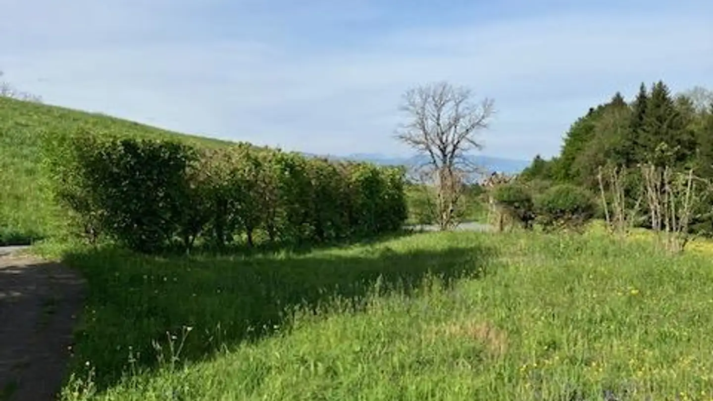 Doppelhaushälfte mieten - Züblistrasse 15, 8725 Gebertingen - Foto 3