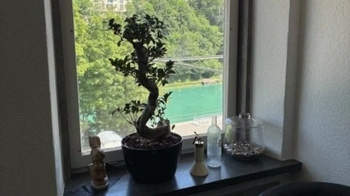 Single room for rent - 3012 Bern
