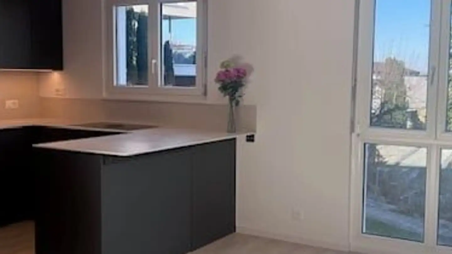 Row house for rent - 8810 Horgen