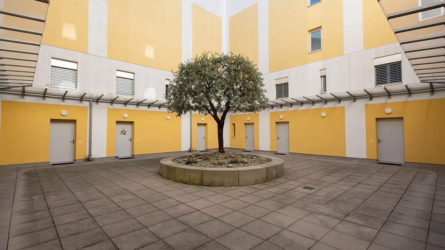 Villa in affitto - Via Pioda 15a, 6600 Locarno - Foto 2