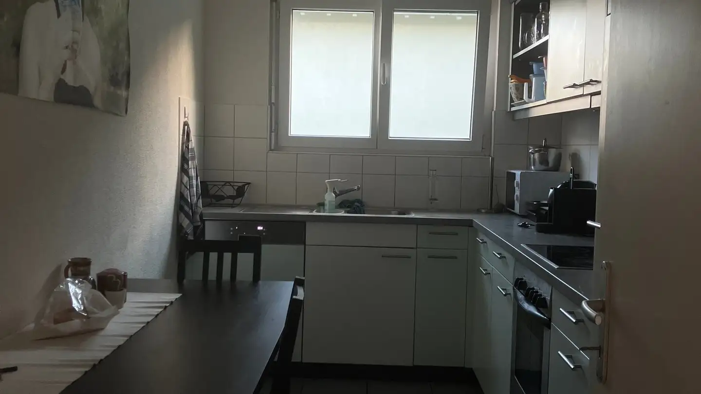 Apartment for rent - Schaffhauserstrasse 457, 8052 Zürich - Photo 3