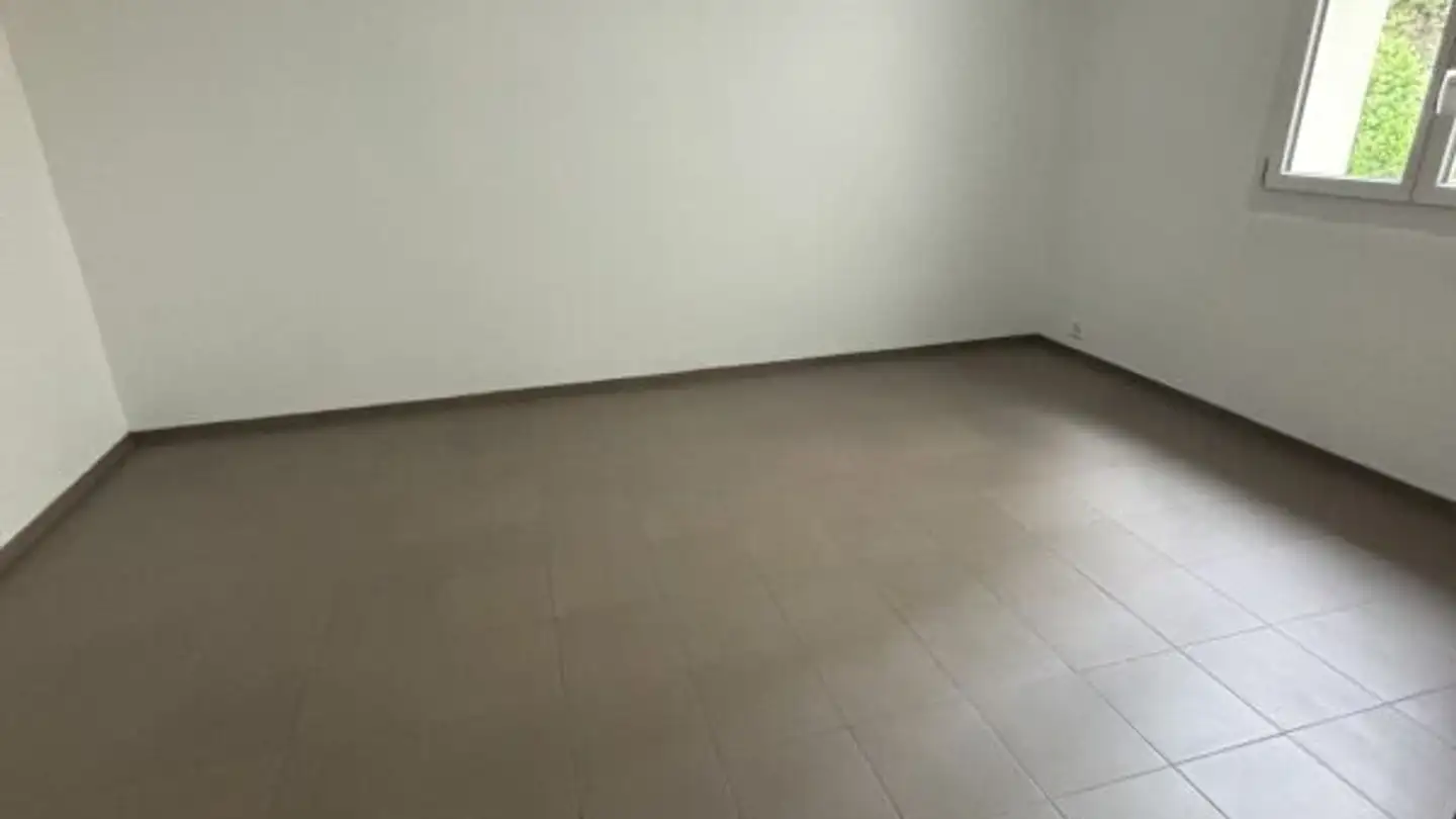Grande magazzino in affitto - Lörracherstrasse 170, 4125 Riehen - Foto 3