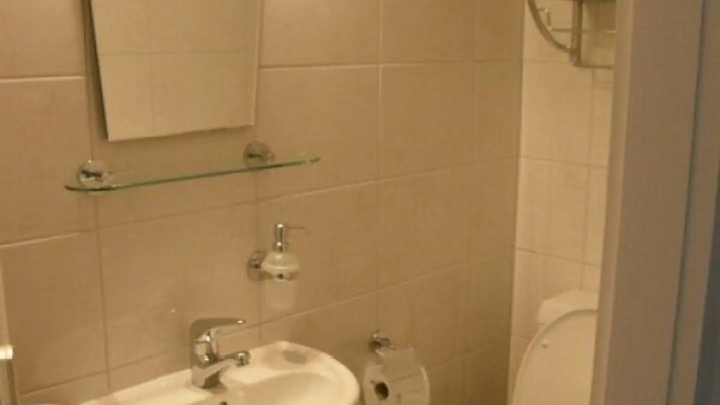 Appartement à louer - Im Hölzli, 9000 St. Gallen - Photo 3