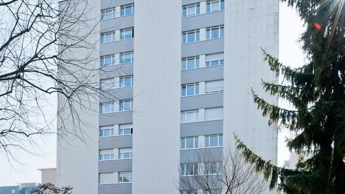 Appartamento in affitto - Lindenstrasse 33, 4102 Binningen - Foto 2