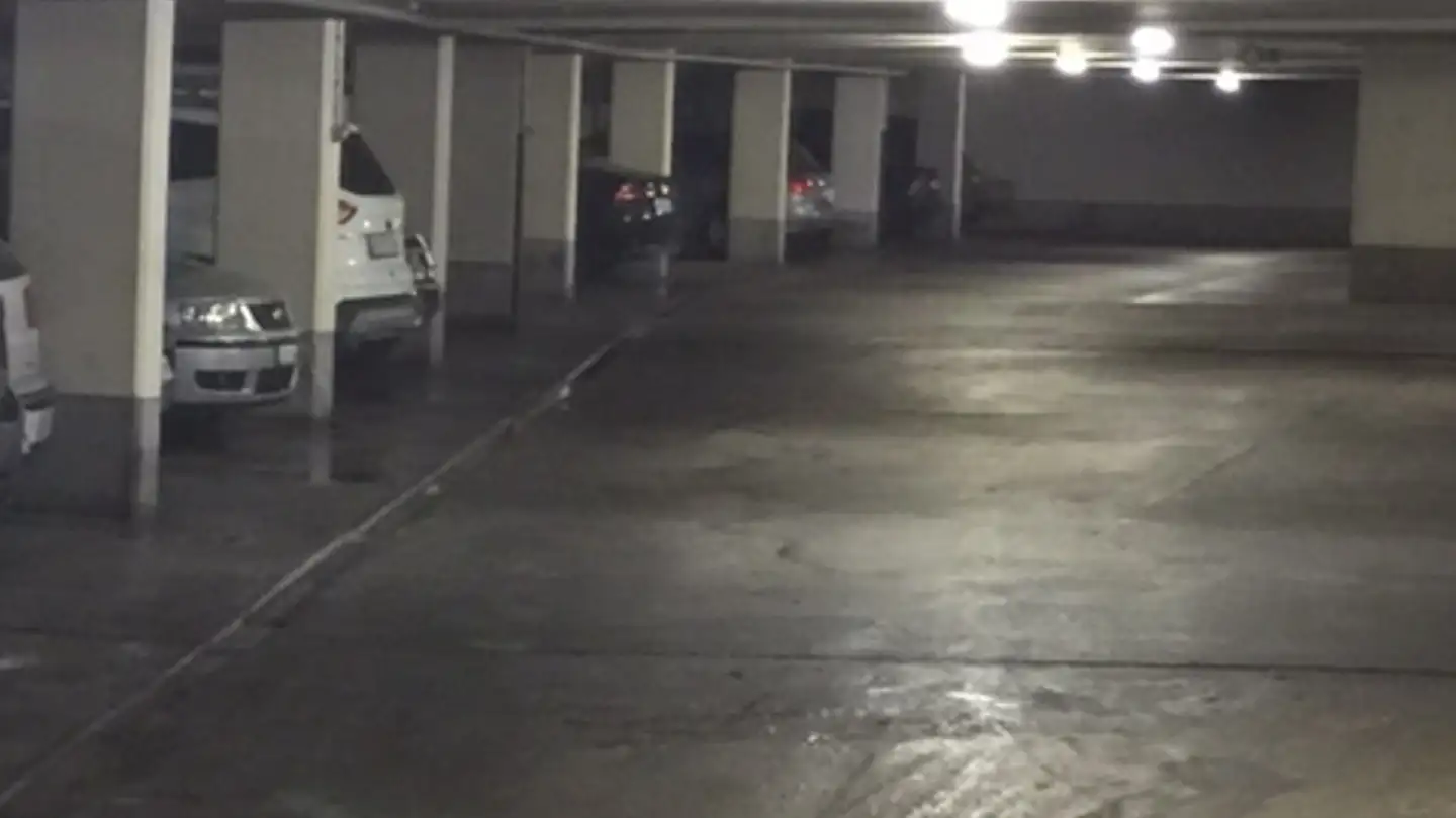 Garage individuel à louer - Chemin Des Clochettes 8, 1206 Genève - Photo 3