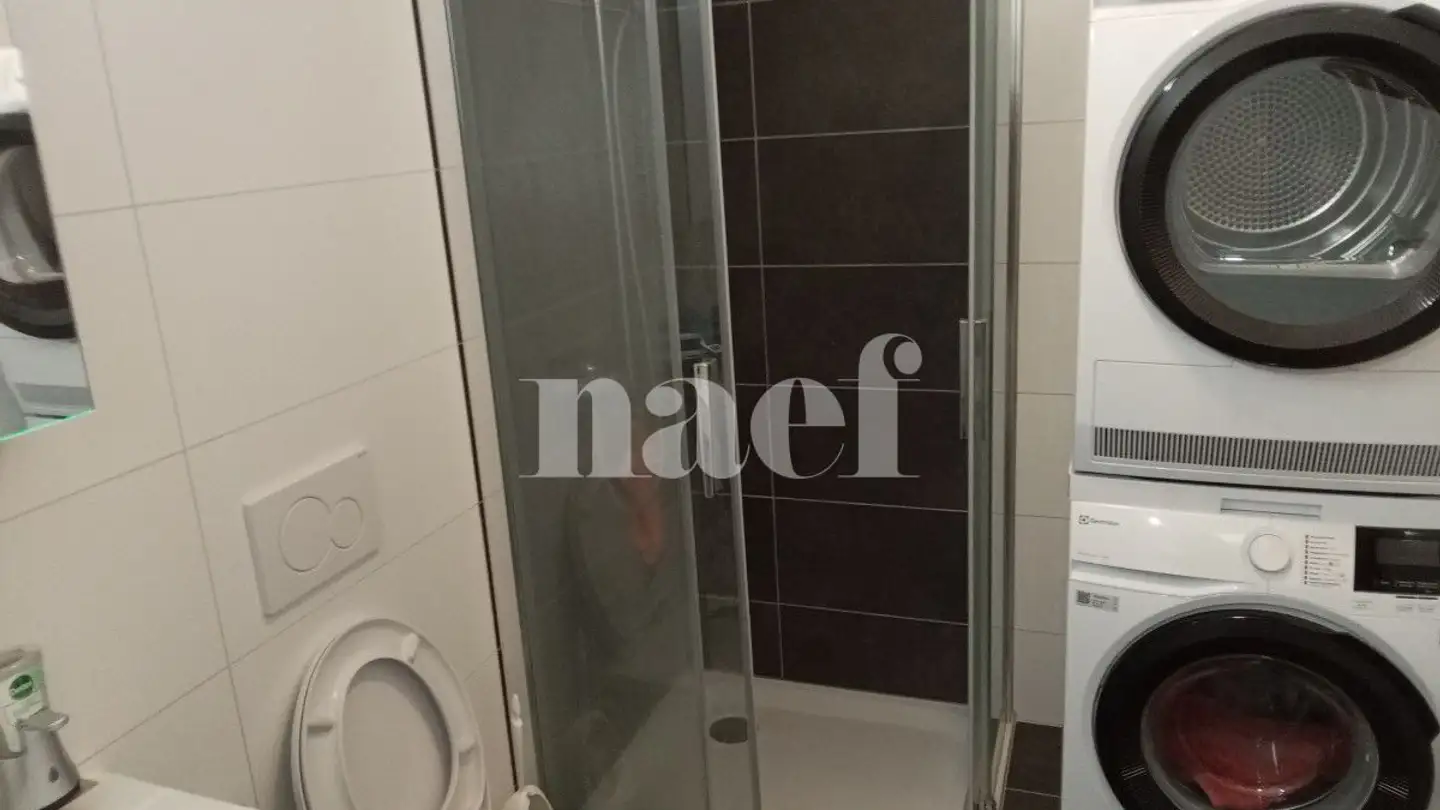 Appartamento in affitto - Avenue Du Vignoble 2, 2000 Neuchâtel - Foto 3