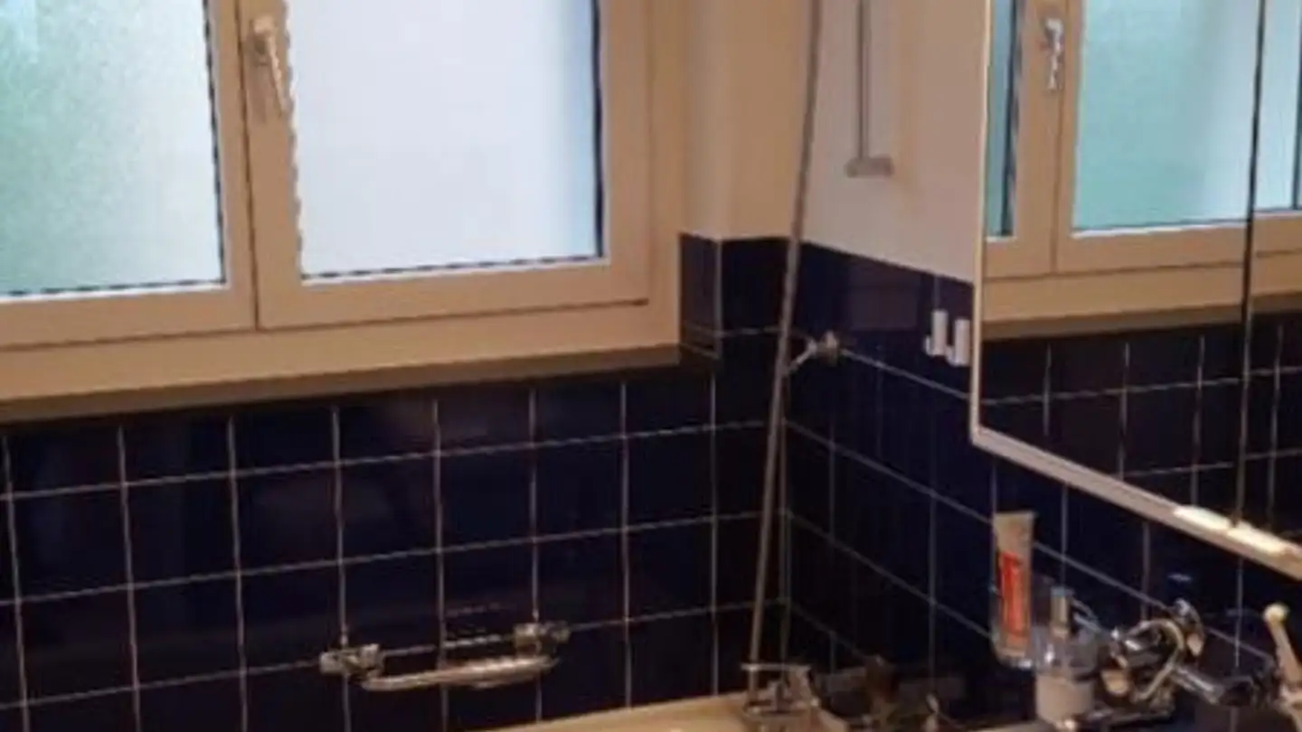 Appartamento in affitto - Wolfkehlenstrasse 15, 8266 Steckborn - Foto 4