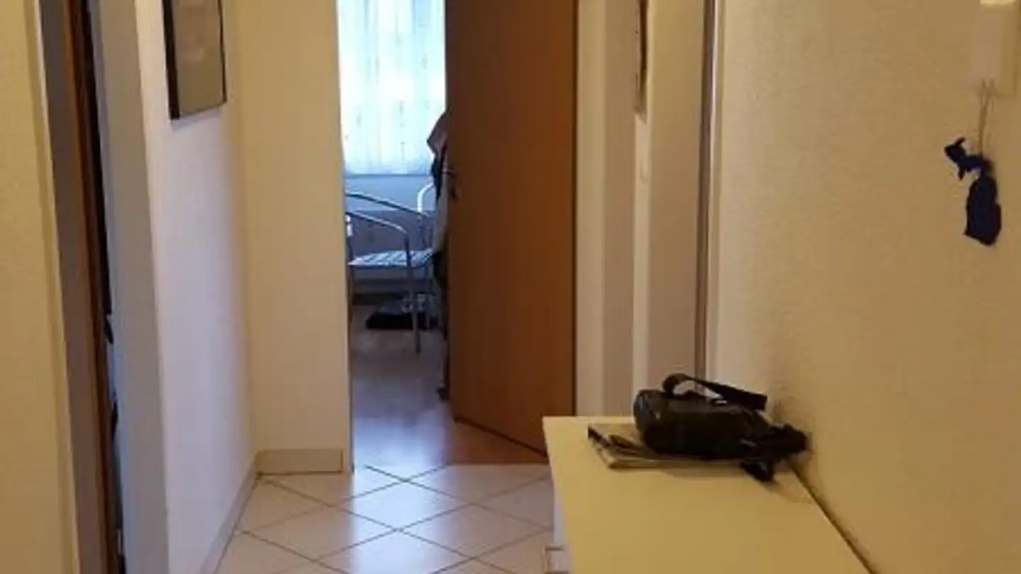 Appartamento in affitto - Wolfkehlenstrasse 15, 8266 Steckborn - Foto 2