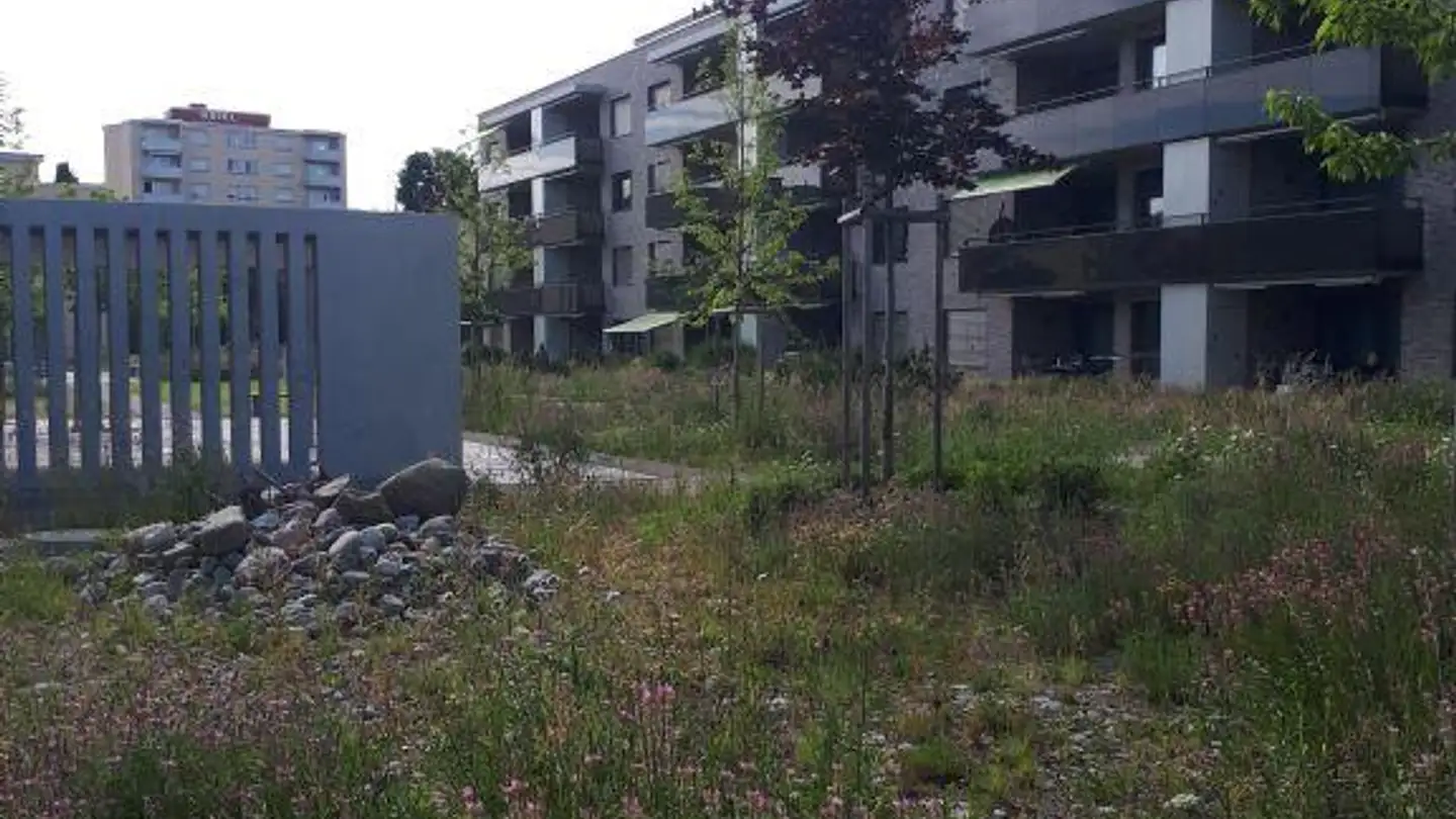 Appartement à louer - Alte Villmergerstrasse 7, 5610 Wohlen AG