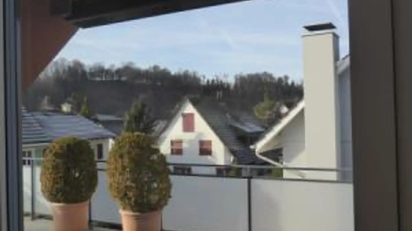 Attico in affitto - 4132 Muttenz