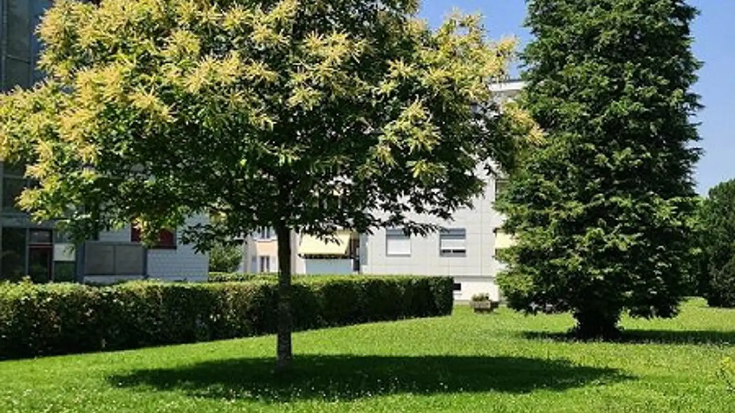 Appartement à louer - Birseckstrasse 13, 4142 Münchenstein - Photo 3