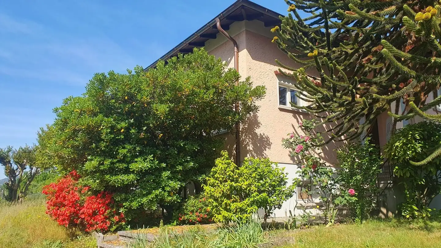 Casa singola in affitto - Via Mura 3, 6834 Morbio Inferiore