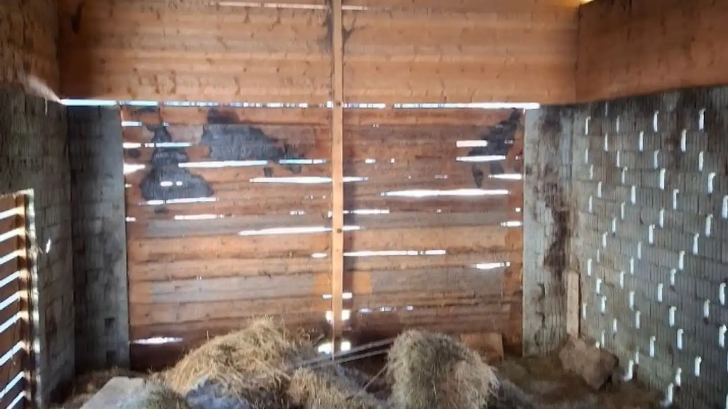 Casa singola in vendita - 1983 Evolène - Photo 3