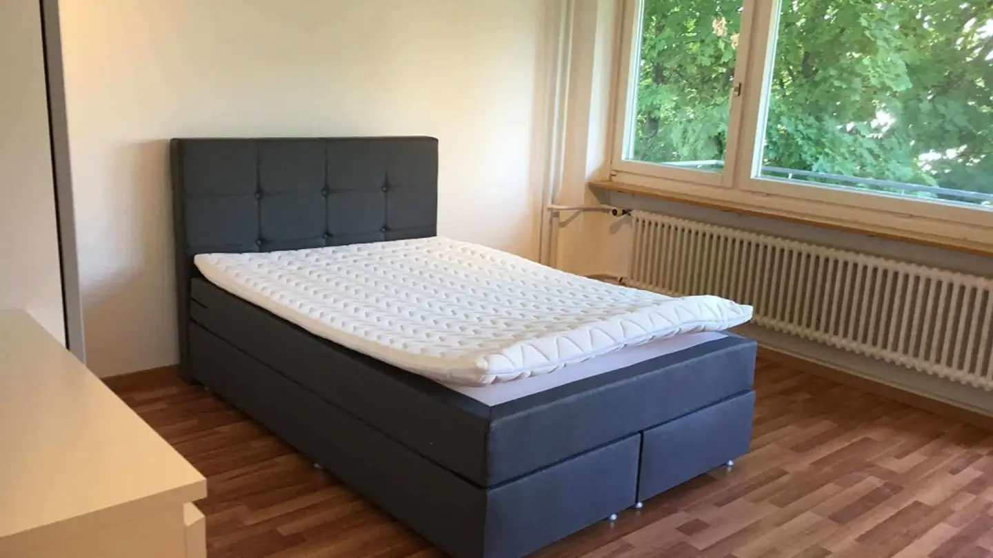 Stanza singola in affitto - 8052 Zürich