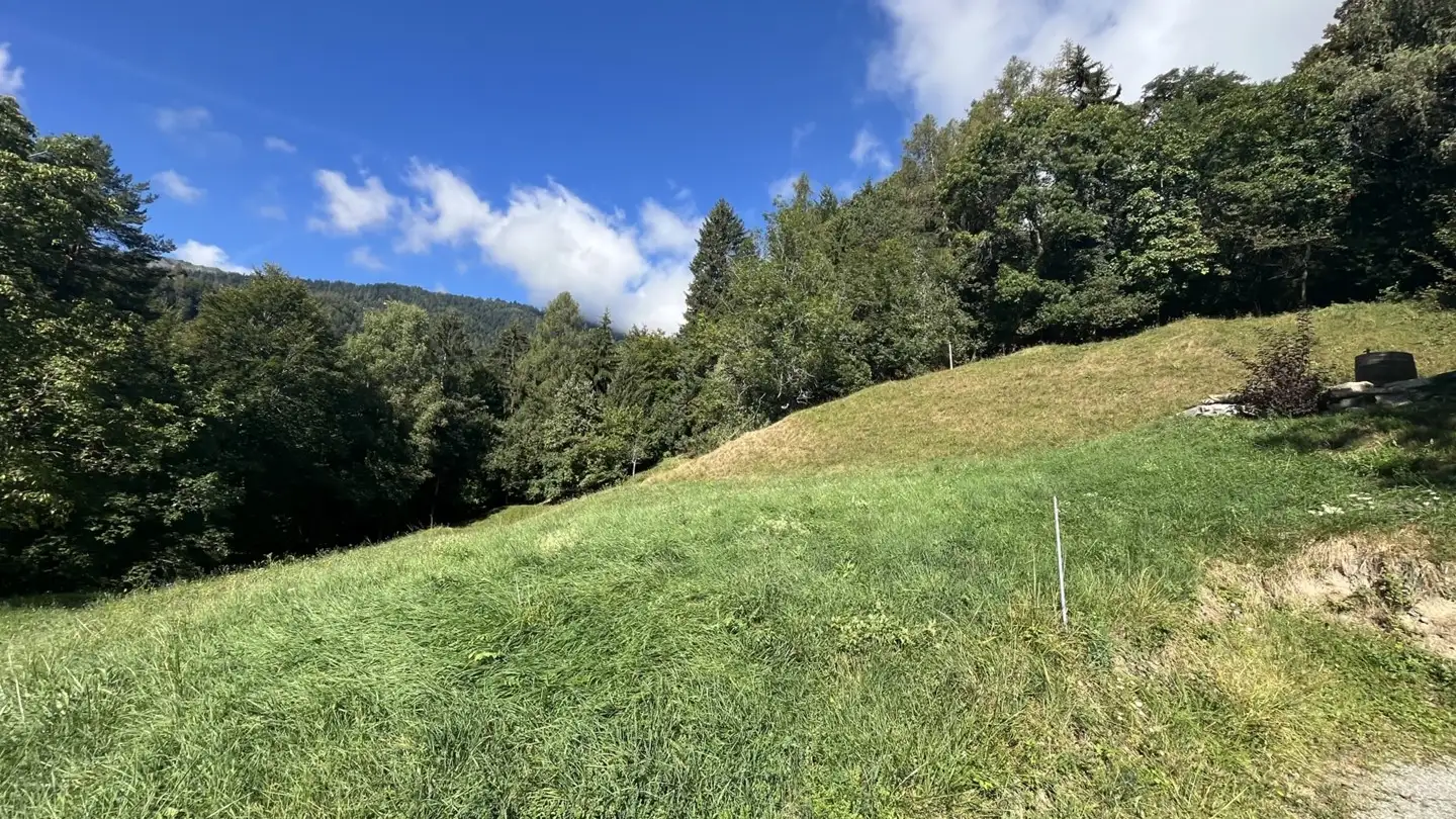 Chalet for sale - 1955 Les Vérines (Chamoson) - Photo 4