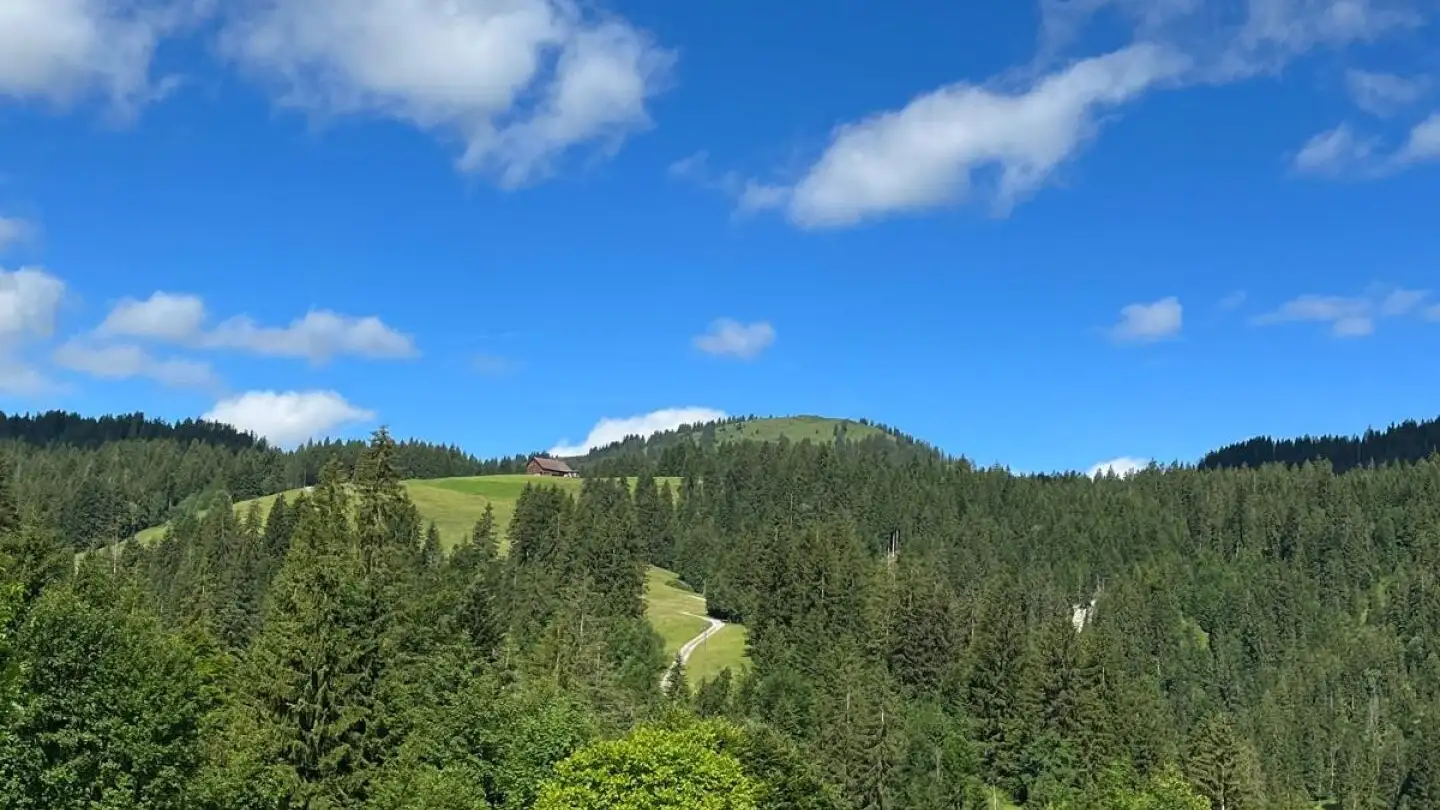 Apartment for rent - Laburgstrasse, 8843 Oberiberg