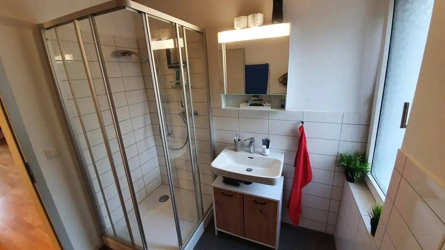 Single room for rent - Weinberglistrasse 18, 6005 Luzern - Photo 3