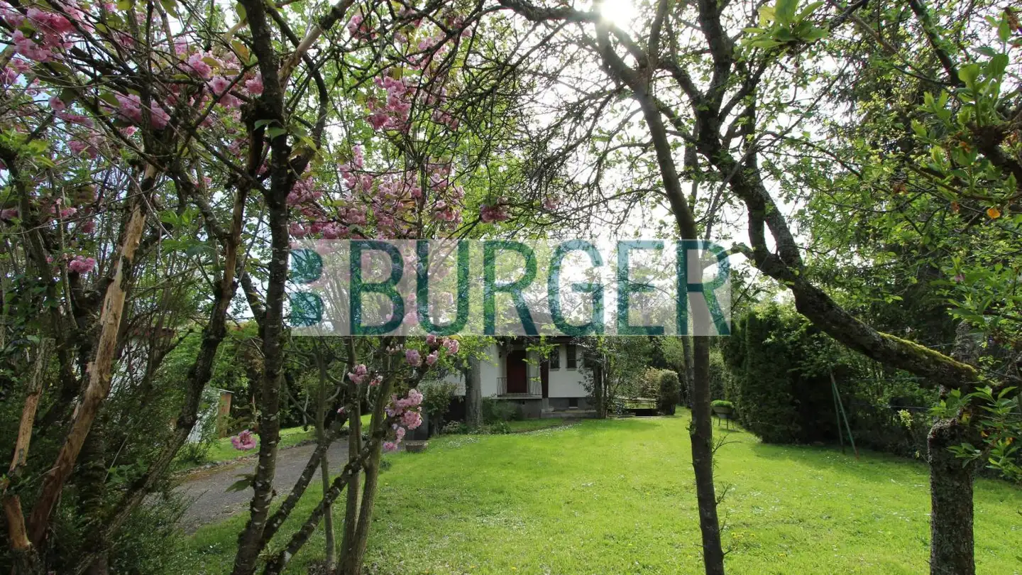 Einfamilienhaus mieten - Chemin De La Pommeraie 3, 1226 Thônex - Foto 3