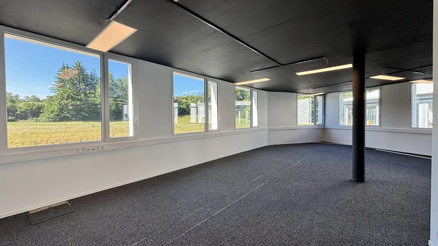Commercial for rent - 1510 Moudon - Photo 3