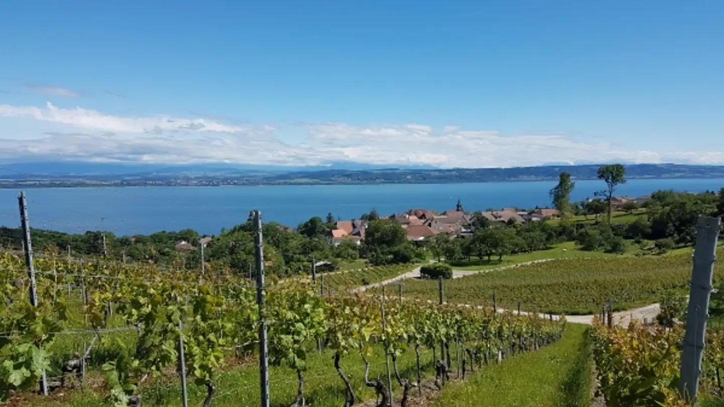 Terreno edificabile in vendita - 2024 St-Aubin-Sauges - Photo 3