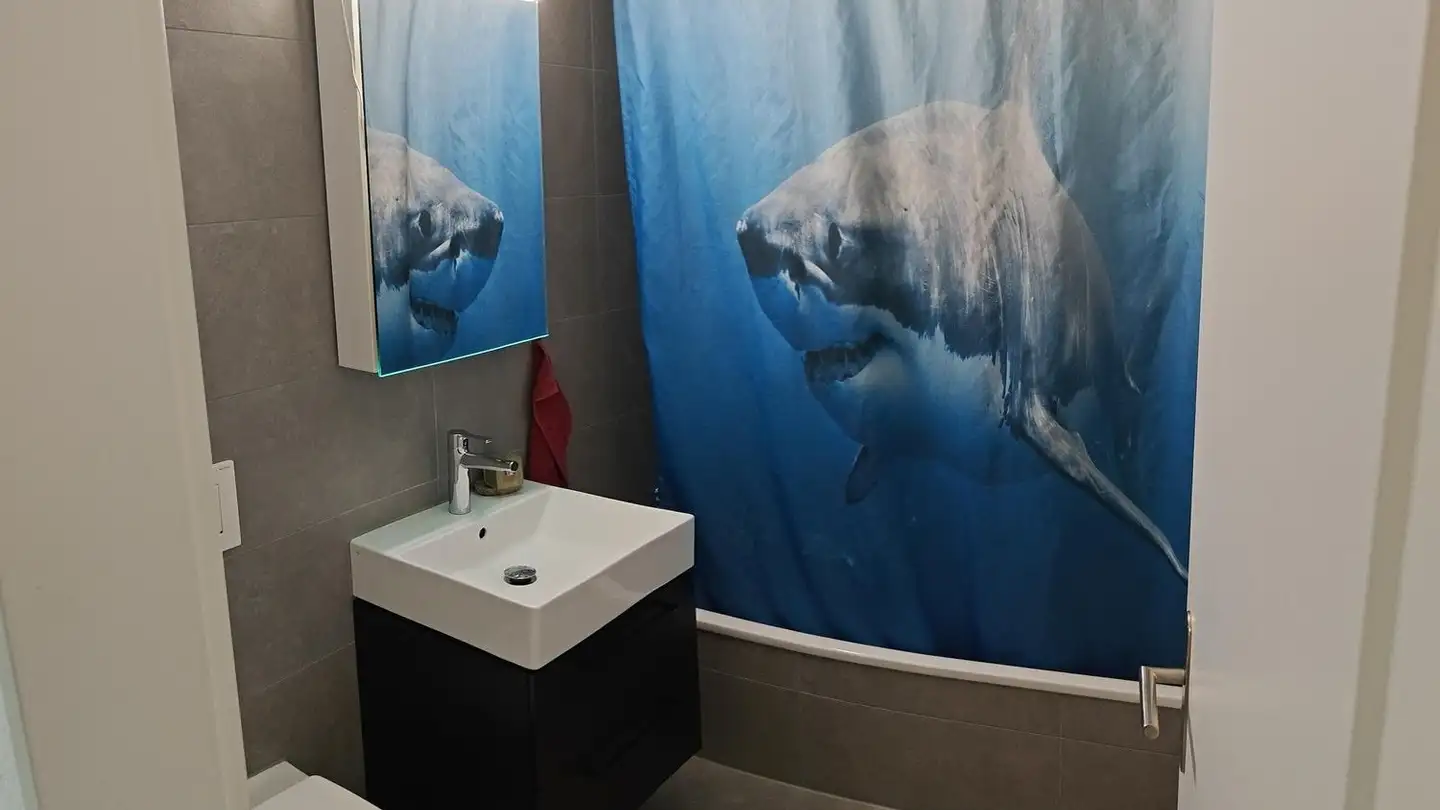 Appartement à louer - Schaalweg 2, 3053 Münchenbuchsee - Photo 3