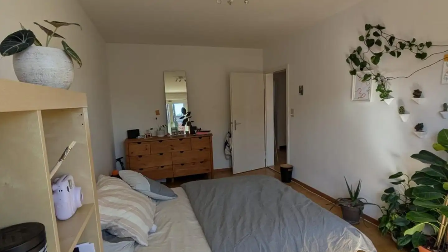 Chambre à louer - 8400 Winterthur