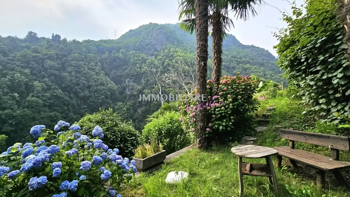 Casa singola in vendita - 6596 Gordola - Foto 3