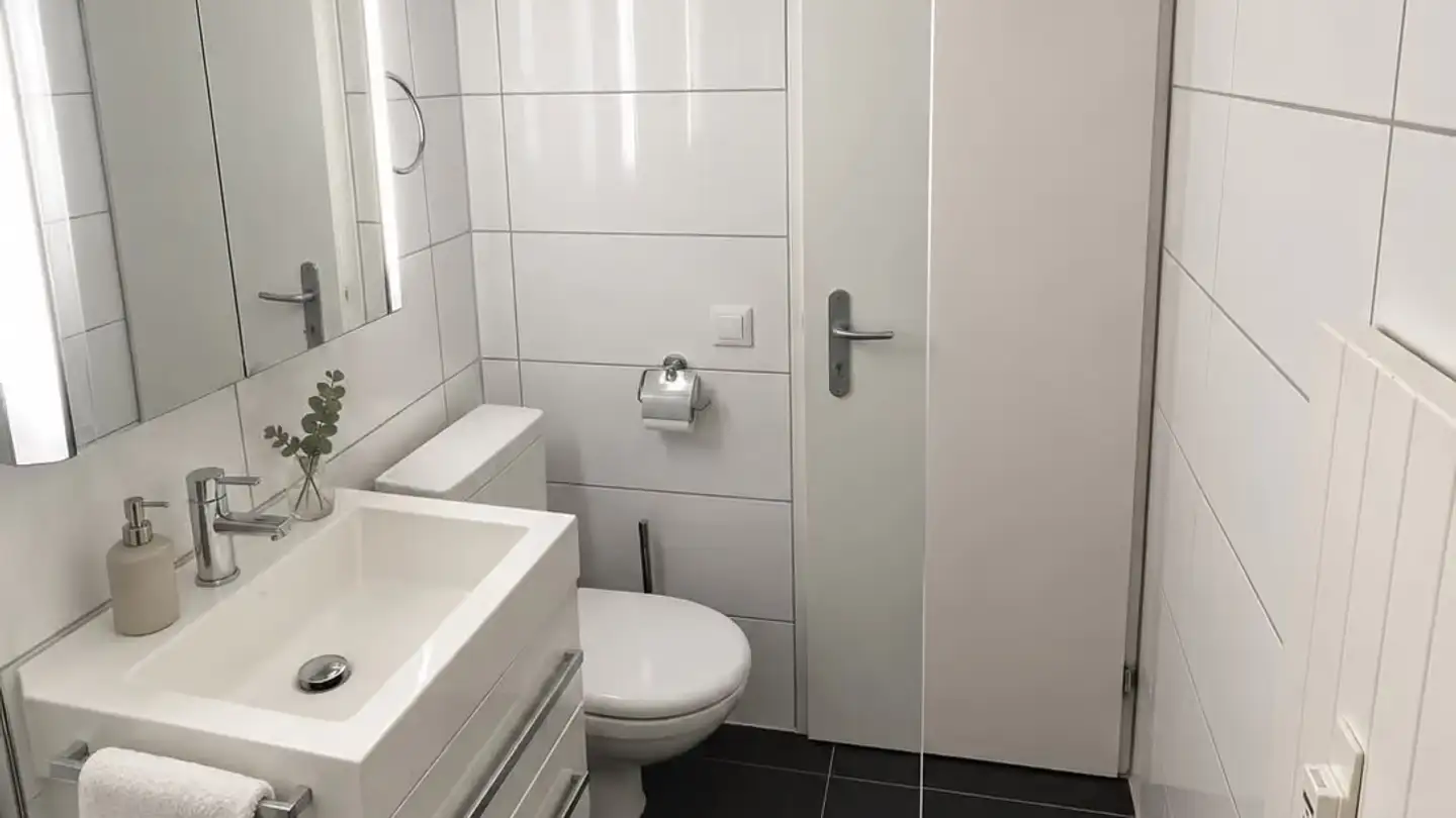 Wohnung mieten - Schaffhauserstrasse, 8052 Zürich - Foto 4