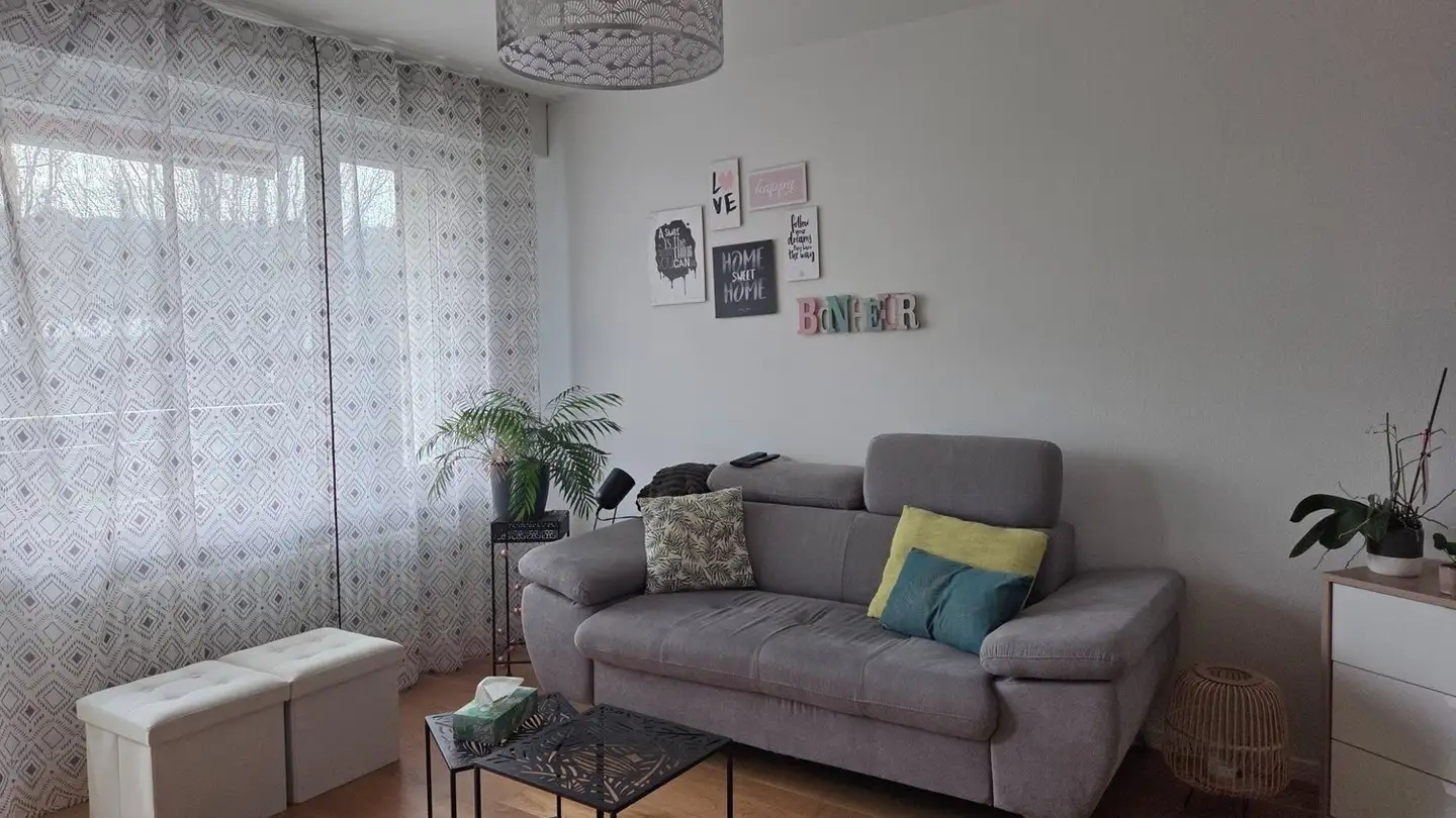 Appartamento in affitto - 1820 Territet