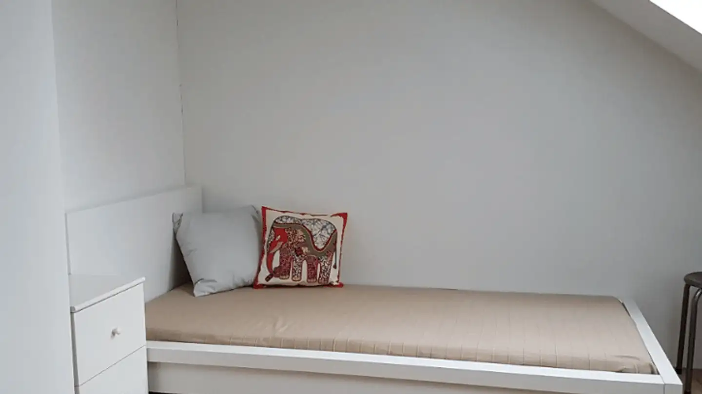 Attic flat for rent - Mühlebrückestrasse 17, 8400 Winterthur - Photo 2