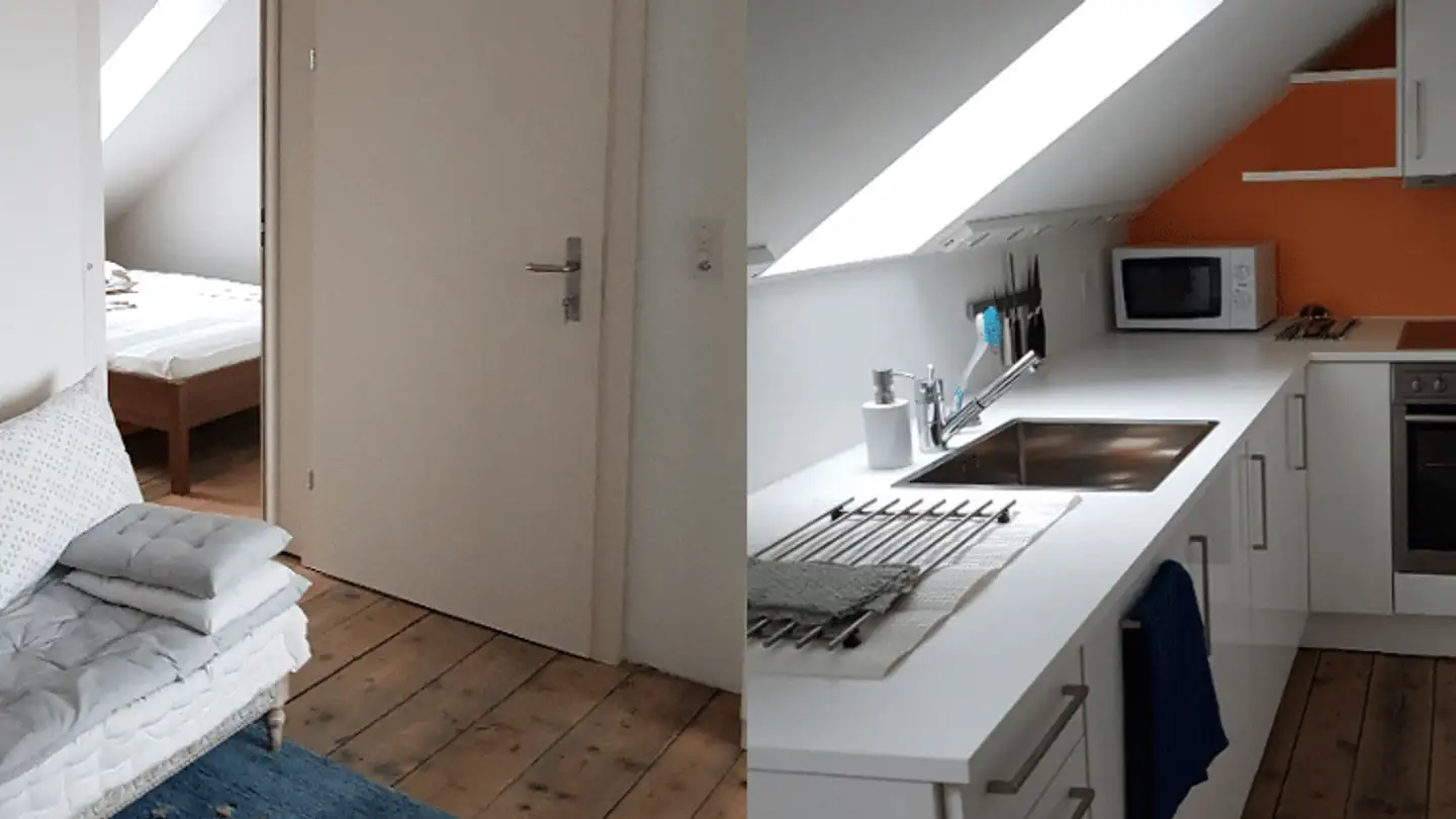 Attic flat for rent - Mühlebrückestrasse 17, 8400 Winterthur - Photo 3