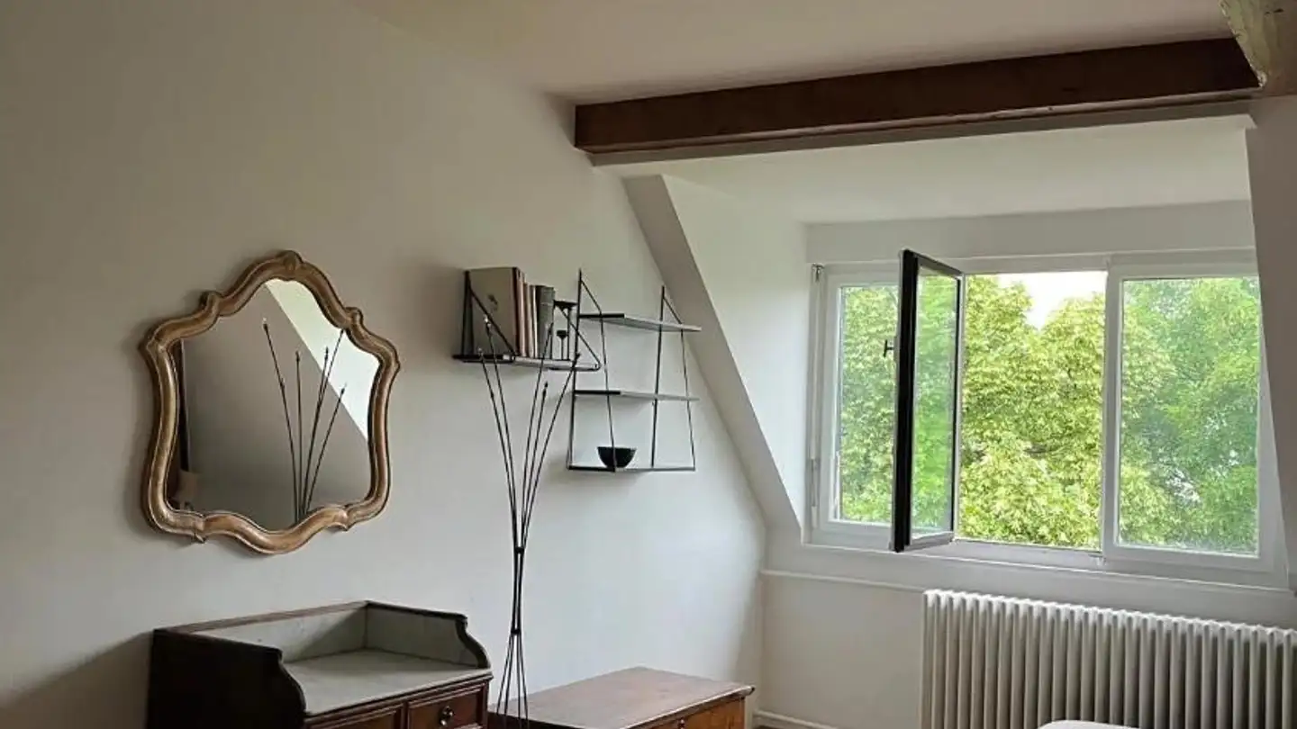 Appartement à louer - Rue Des Délices 27, 1203 Genève - Photo 4