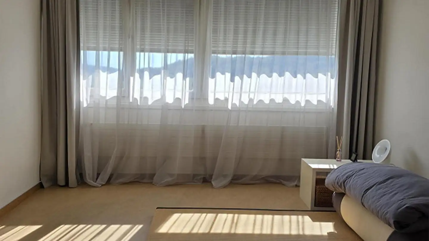 Appartamento in affitto - Heidenchilenstrasse 16, 8907 Wettswil - Foto 3