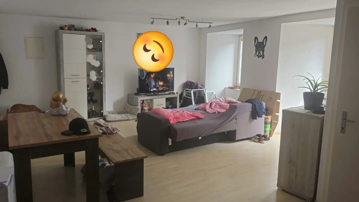 Apartment for rent - 8640 Rapperswil SG