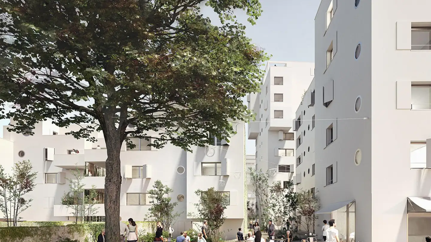 Appartement à louer - Badenerstrasse 682, 8048 Zürich