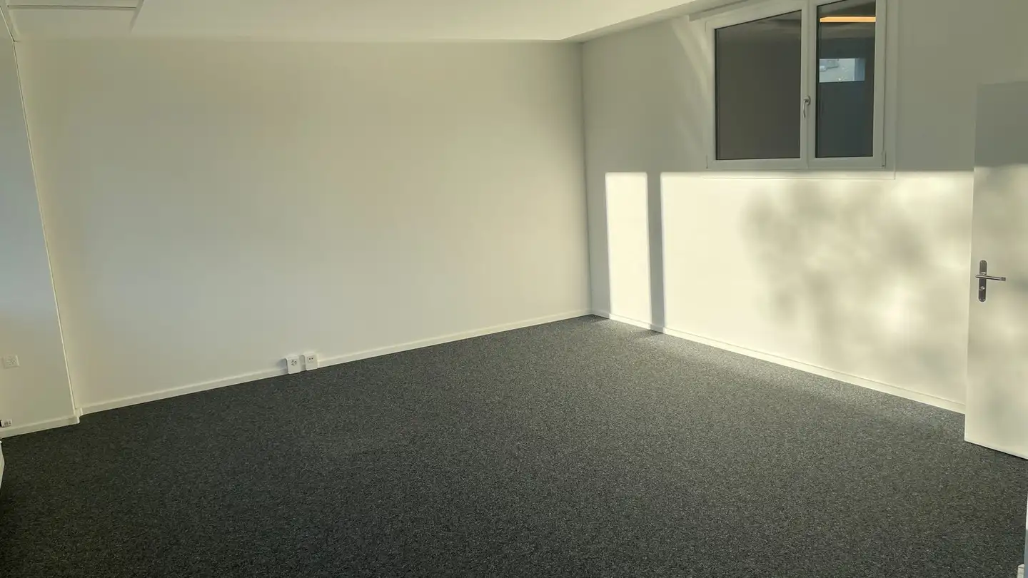 Bureau à louer - Bahnhofstrasse 11, 8552 Felben-Wellhausen