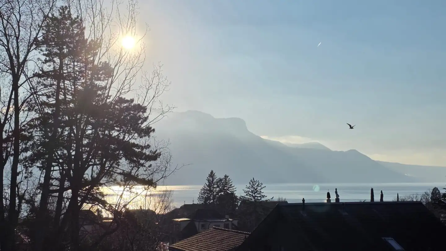 Appartement à louer - 1800 Vevey