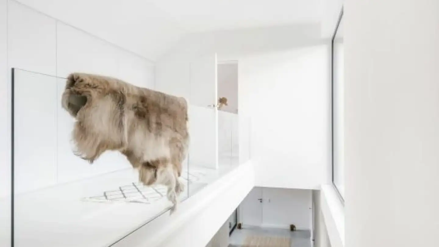 Casa singola in vendita - Am Oelberg, 9500 Wil SG - Photo 4