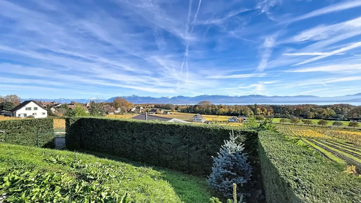 Maison troglodyte à vendre - 1165 Allaman - Photo 3