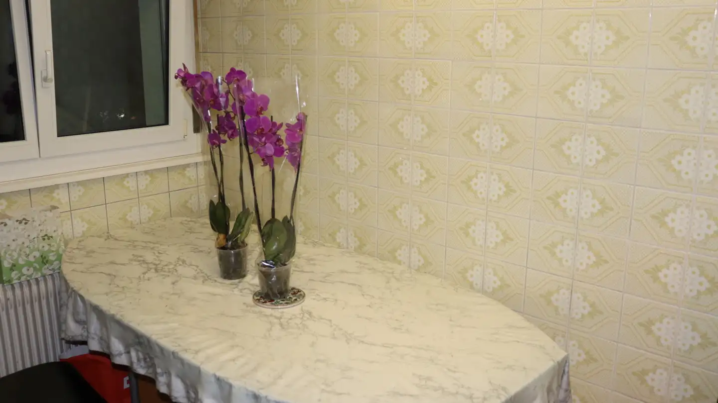 Apartment for sale - 3951 Agarn - Photo 4