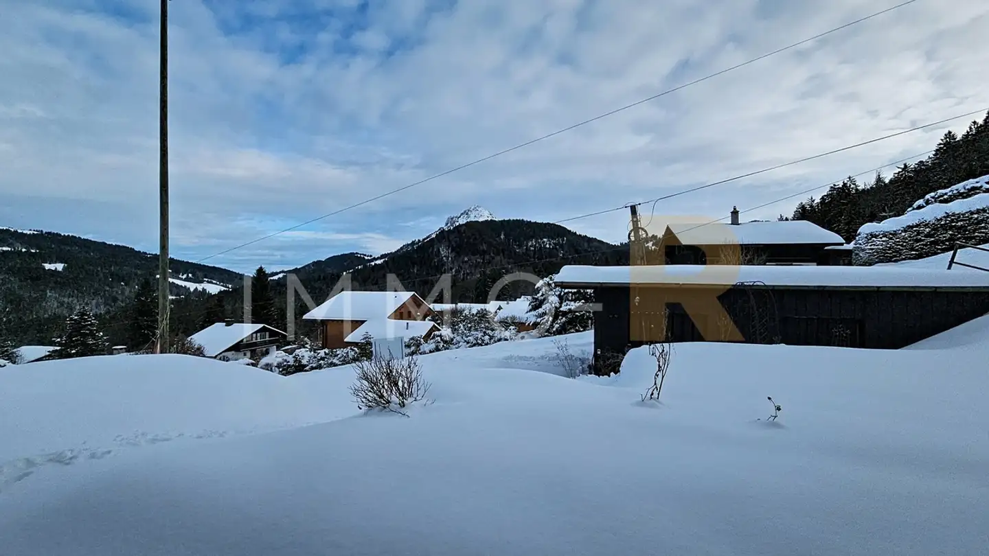 Chalet à vendre - Route Des Rosalys 462, 1619 Les Paccots - Photo 4